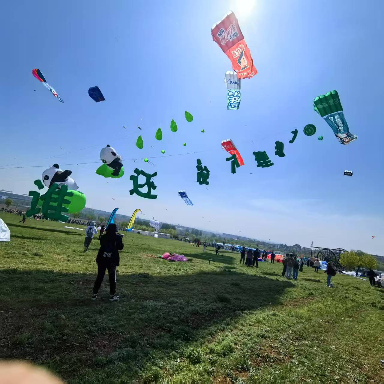 武汉市风筝放飞活动策划风筝定制 - 推荐